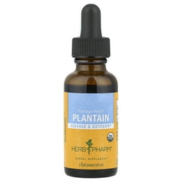 Herb Pharm Plantain 1oz - The Oasis of Health