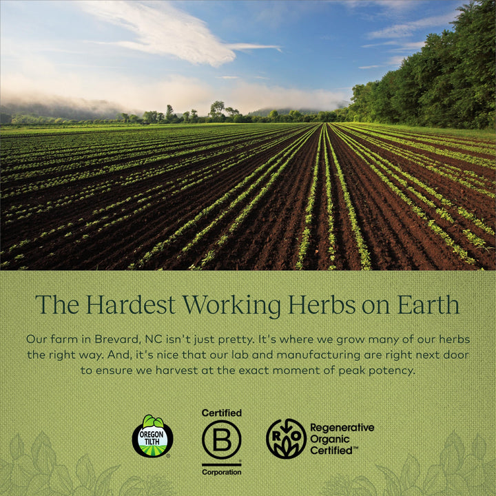 Gaia Herbs Adrenal Health Daily Support with Ashwagandha, Holy Basil & Schisandra