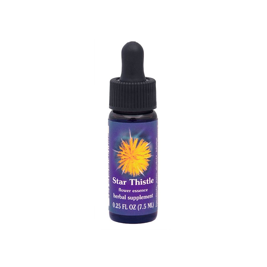 Flower Essence Services Rabbitbrush Dropper 1oz