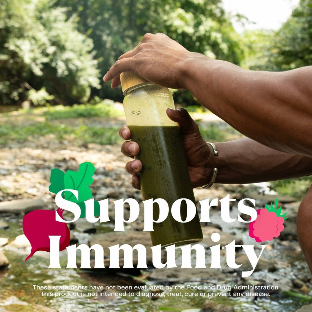 Amazing Grass Greens Blend Superfood: Super Greens Powder with Spirulina, Alfalfa, Beet Root Powder, Digestive Enzymes, Prebiotics & Probiotics, Original, 100 Servings (Packaging May Vary) - The Oasis of Health