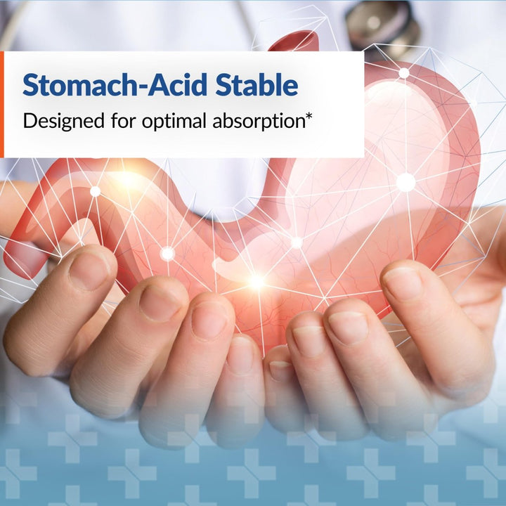 Arthur Andrew Medical - Nattovena, Pure Nattokinase, Circulatory and Heart Health, Vegan, Non - GMO, 30 Capsules - The Oasis of Health