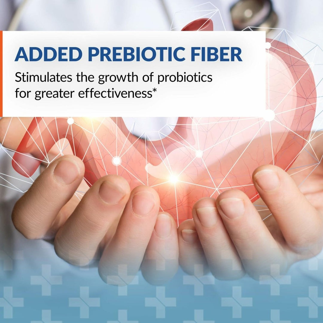 Arthur Andrew Medical Syntol AMD 180caps 500mg - The Oasis of Health