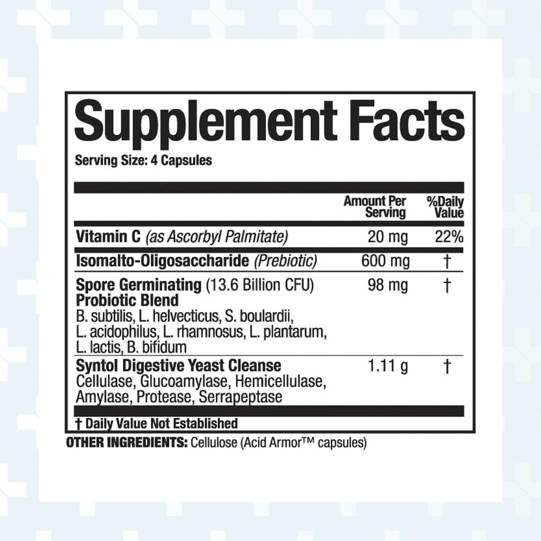 Arthur Andrew Medical Syntol AMD 180caps 500mg - The Oasis of Health