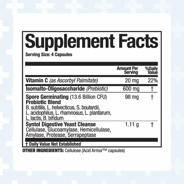 Arthur Andrew Medical Syntol AMD 180caps 500mg - The Oasis of Health