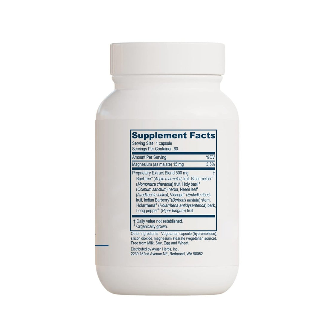 Ayush Herbs AP Traveler 60 Vcaps - The Oasis of Health