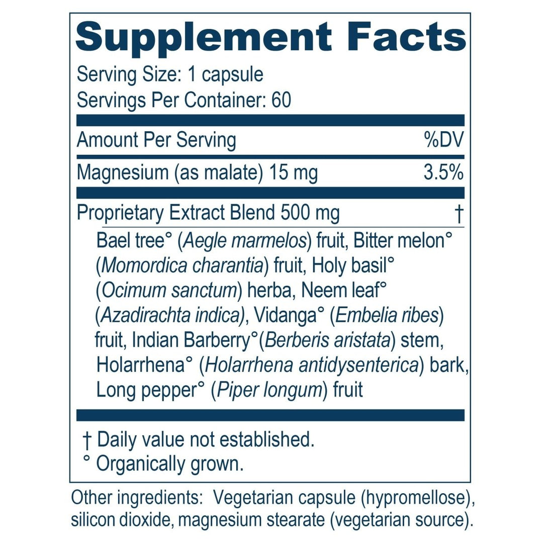 Ayush Herbs AP Traveler 60 Vcaps - The Oasis of Health