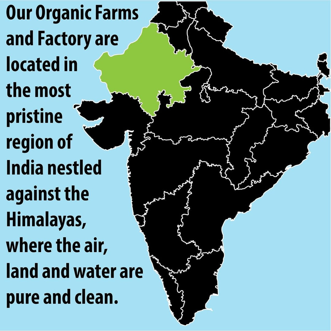 Ayush Herbs Ayu - Test Male Support 60 Vcaps - The Oasis of Health