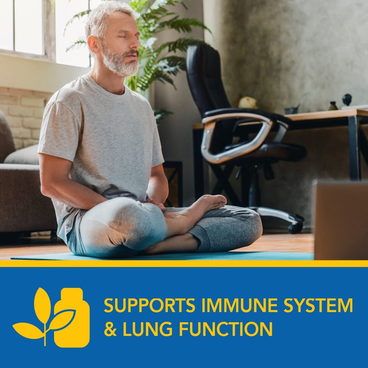 Ayush Herbs BronchoTone 90 Capsules - The Oasis of Health