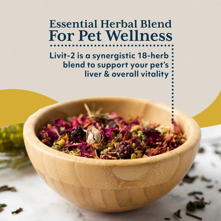 Ayush Herbs Livit - 2 Pet Health Supplement, Liver and Gastrointestinal Support, Healthy Skin and Hair, Small or Large Animal, Young or Senior Pet, 90 Tablets - The Oasis of Health