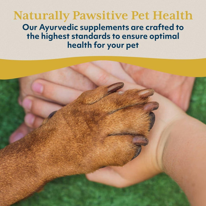 Ayush Herbs Livit - 2 Pet Health Supplement, Liver and Gastrointestinal Support, Healthy Skin and Hair, Small or Large Animal, Young or Senior Pet, 90 Tablets - The Oasis of Health