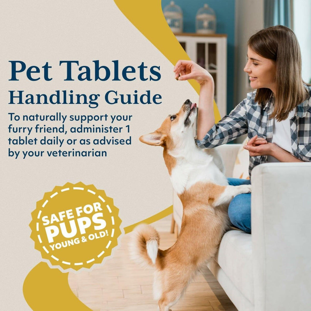 Ayush Herbs Livit - 2 Pet Health Supplement, Liver and Gastrointestinal Support, Healthy Skin and Hair, Small or Large Animal, Young or Senior Pet, 90 Tablets - The Oasis of Health