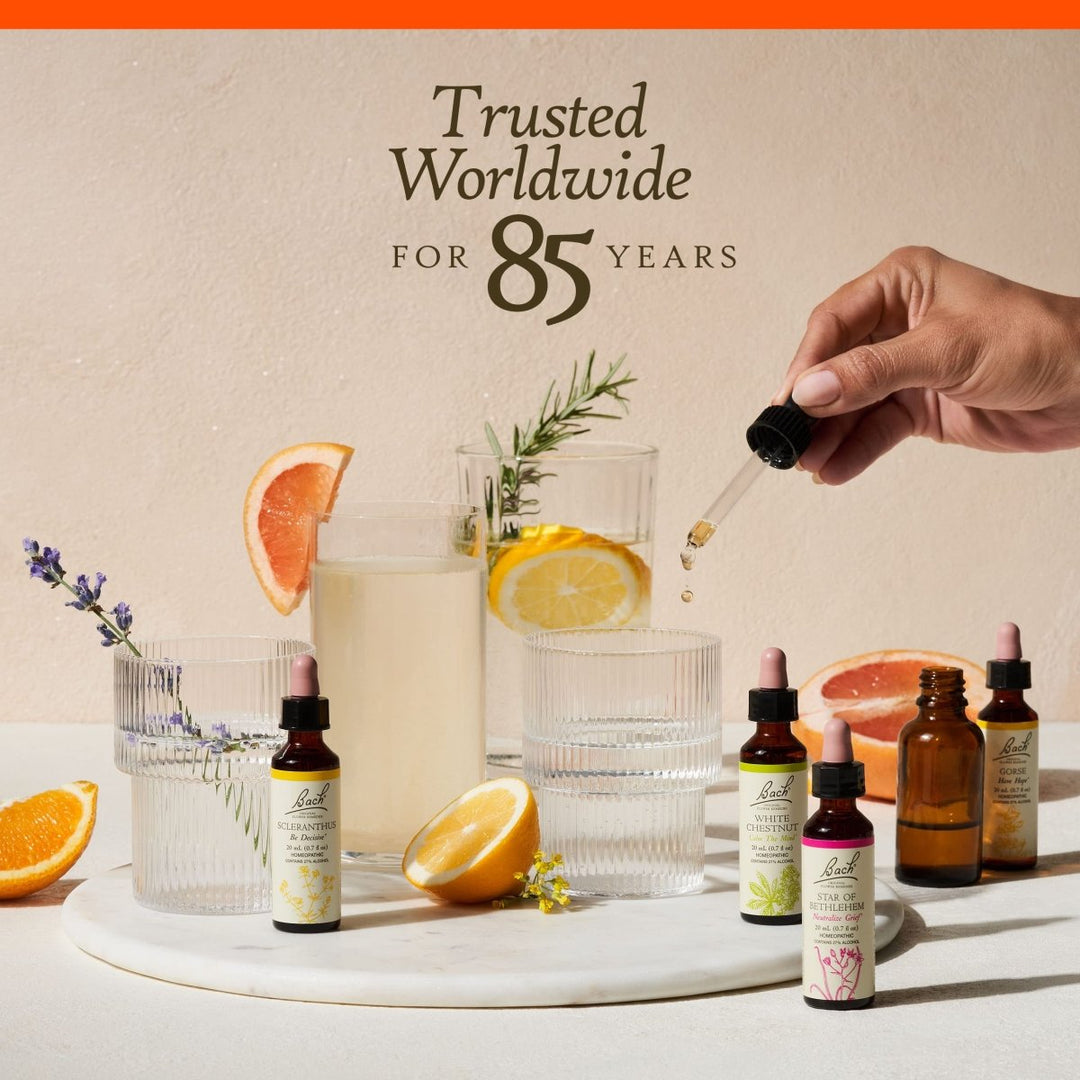 Bach Cherry Plum 20mL - The Oasis of Health