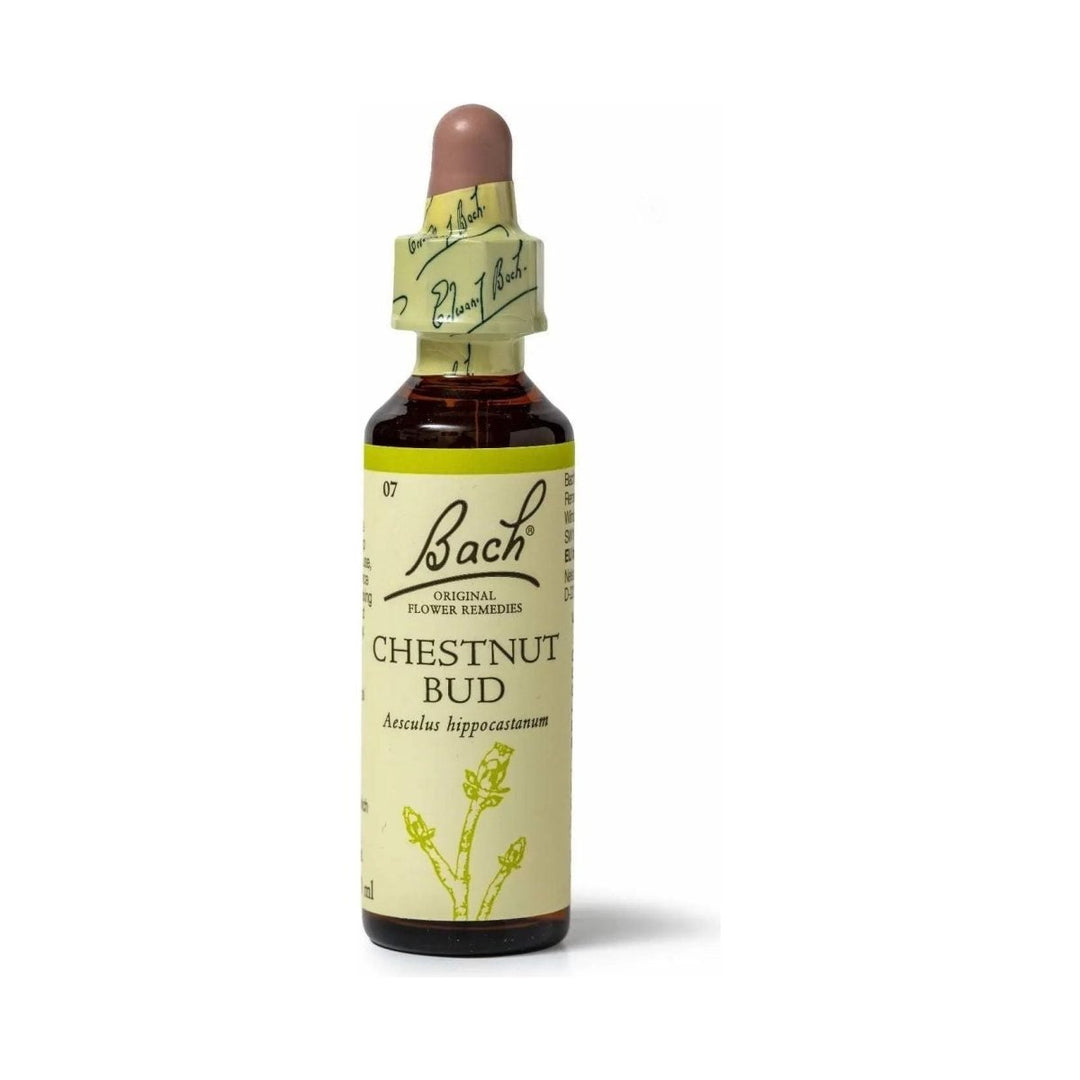 Bach Chestnut Bud 20 mL - The Oasis of Health