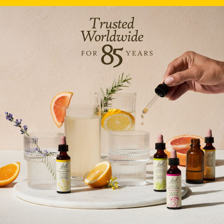 Bach Gentian 20mL - The Oasis of Health