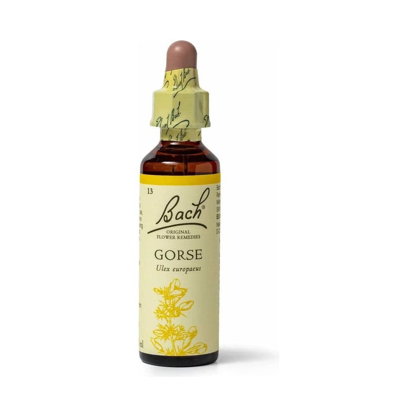 Bach Gorse 20 ml - 2 bottles - The Oasis of Health