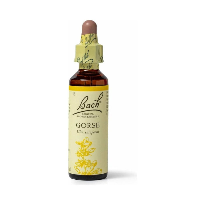 Bach Gorse 20 mL - The Oasis of Health