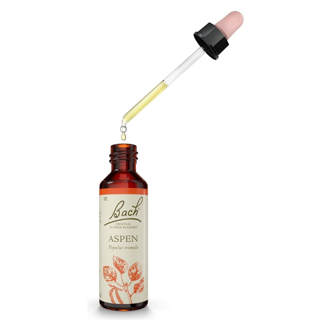 Bach Holly 20 mL - The Oasis of Health