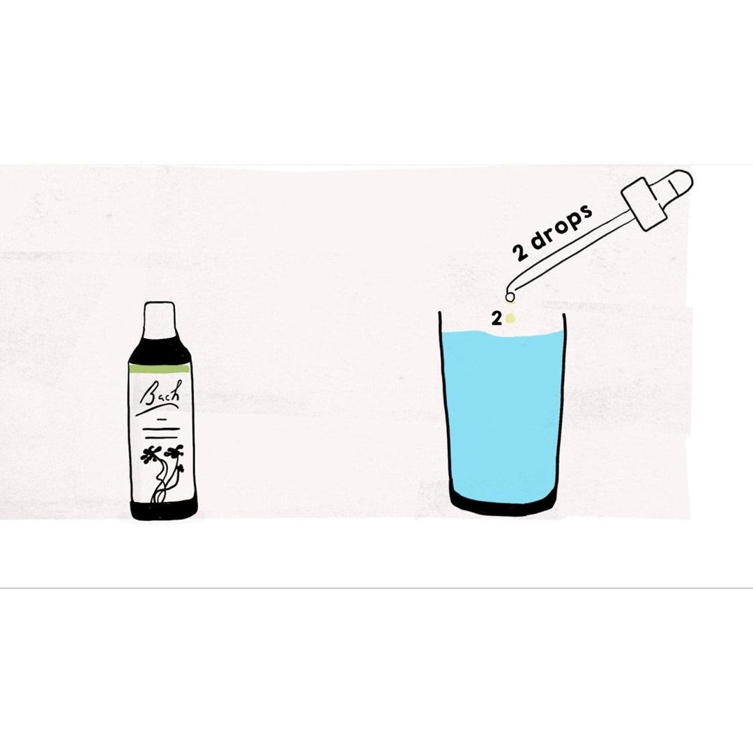 Bach Holly 20 mL - The Oasis of Health