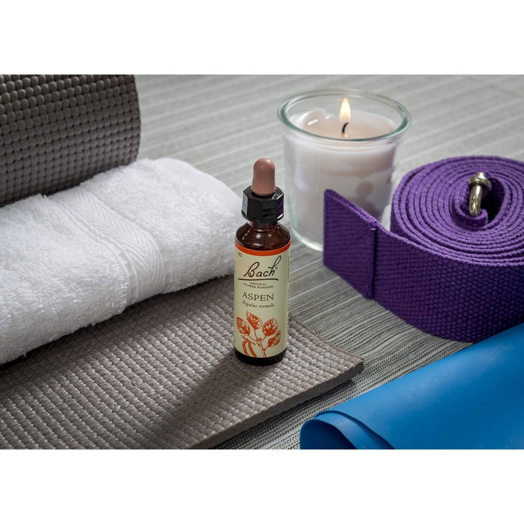 Bach Holly 20 mL - The Oasis of Health