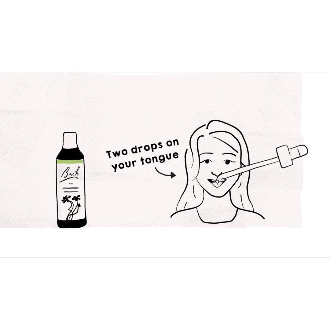 Bach Holly 20 mL - The Oasis of Health