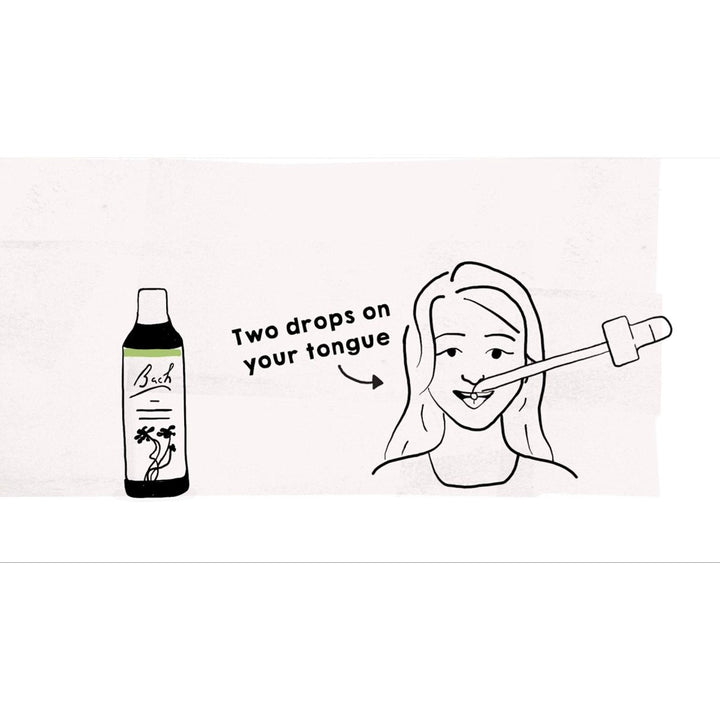 Bach Holly 20 mL - The Oasis of Health