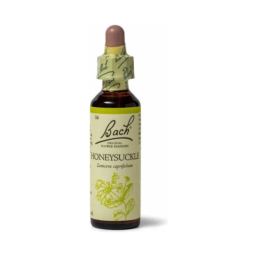 Bach Honeysuckle 20mL - The Oasis of Health