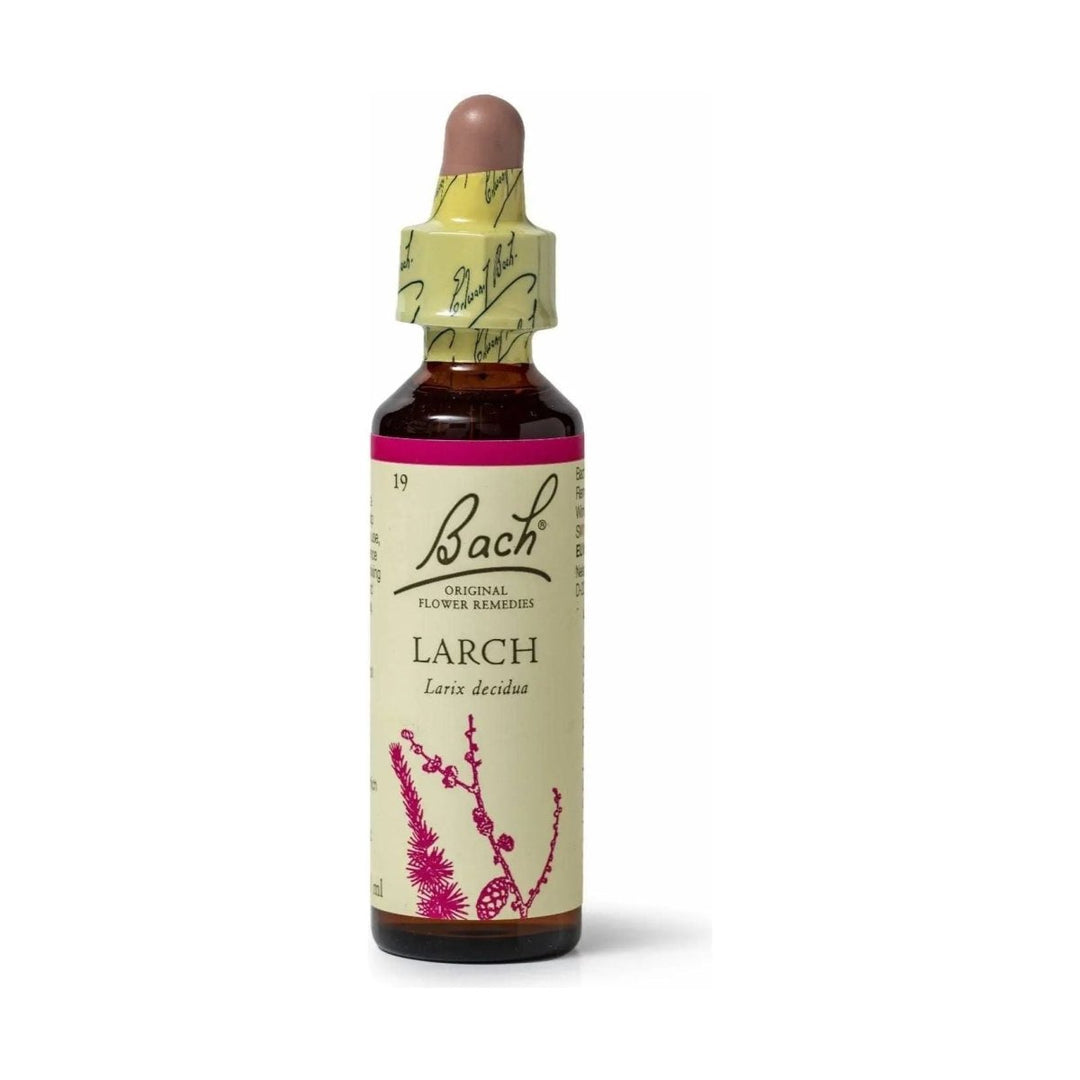 Bach Larch 20mL - The Oasis of Health
