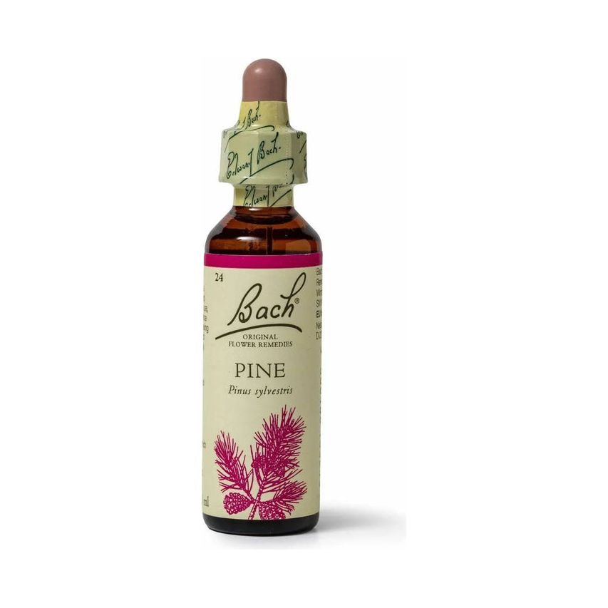 Bach Pine 20ml - The Oasis of Health
