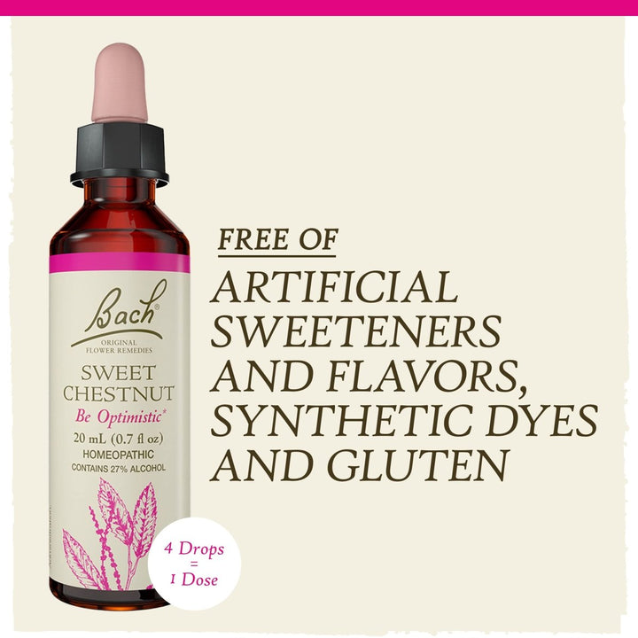 Bach Sweet Chestnut 20mL - The Oasis of Health