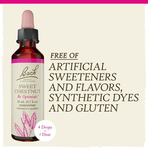 Bach Sweet Chestnut 20mL - The Oasis of Health