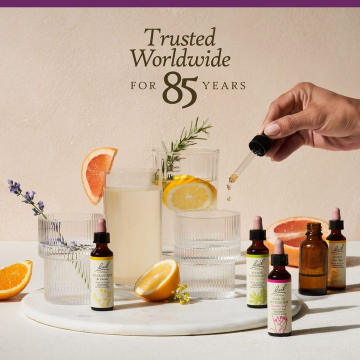 Bach Water Violet 20mL - The Oasis of Health