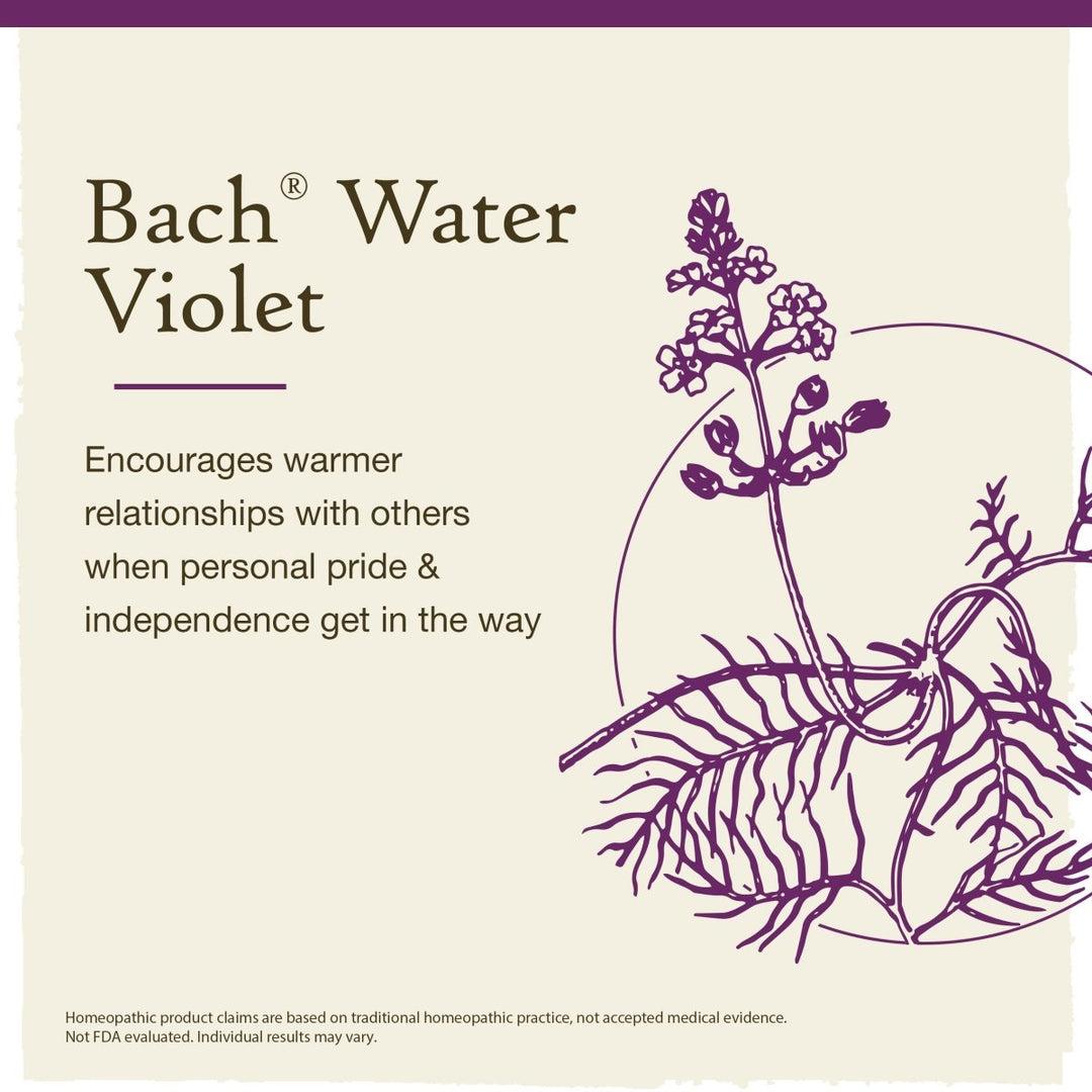 Bach Water Violet 20mL - The Oasis of Health