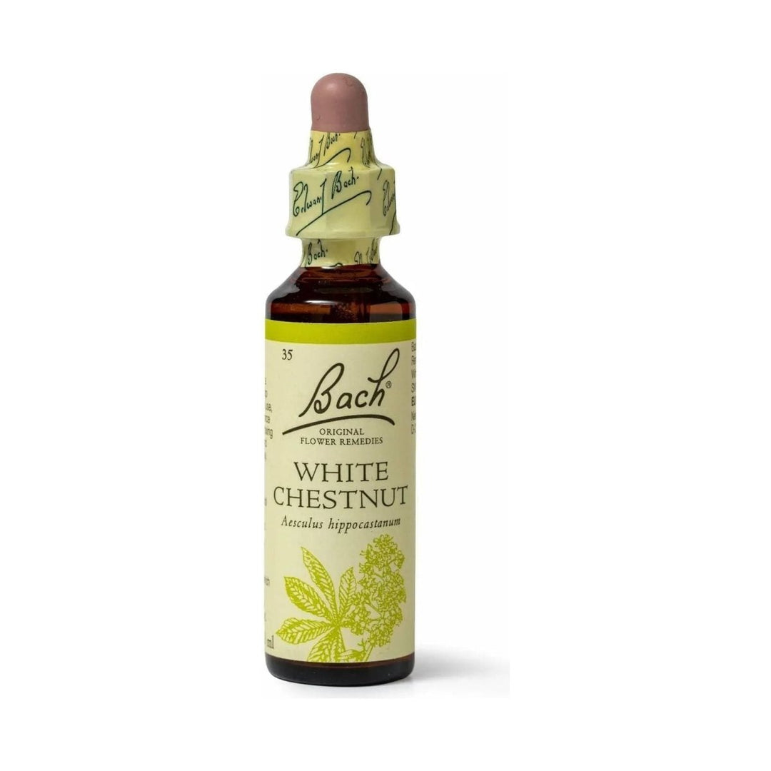 Bach White Chestnut 20mL - The Oasis of Health