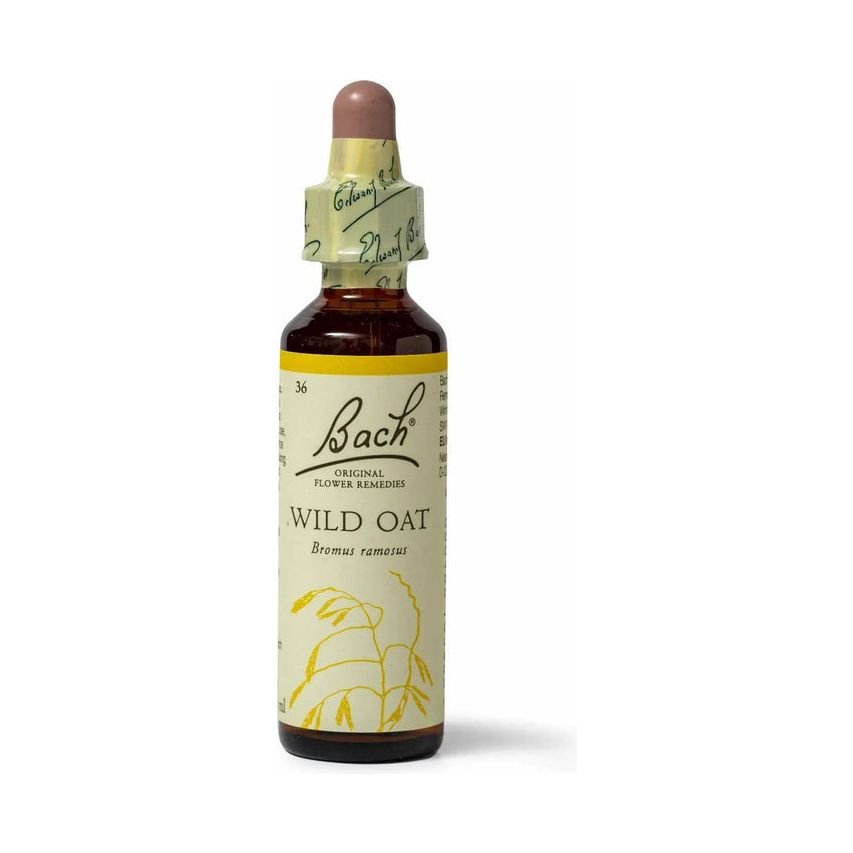 Bach Wild Oat 20ml - The Oasis of Health