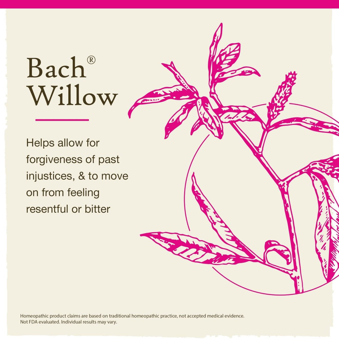 Bach Willow 20ml - The Oasis of Health