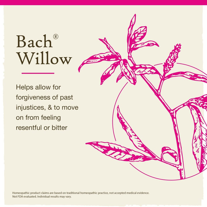 Bach Willow 20ml - The Oasis of Health