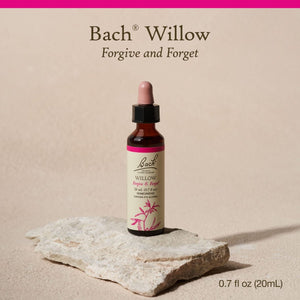 Bach Willow 20ml - The Oasis of Health