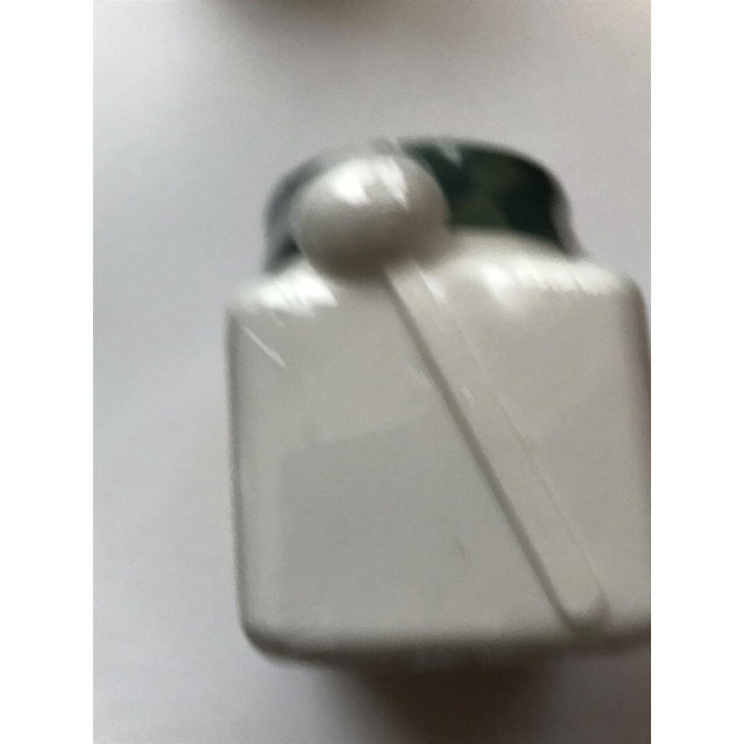 Bai Xian Pi - Dense - Fruit Dittany Root bark, 100 Grams,(E - Fong) - The Oasis of Health