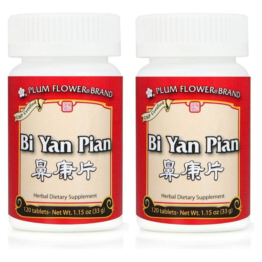 Bi Yan Pian, Nose Inflammation Pills, 120 Tablets (2 Pack) - The Oasis of Health