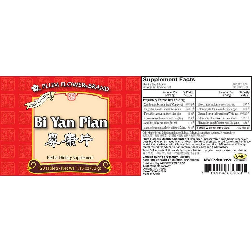 Bi Yan Pian, Nose Inflammation Pills, 120 Tablets (2 Pack) - The Oasis of Health