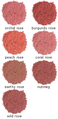 Ecco Bella FlowerColor Blush Orchid Rose - EB0038