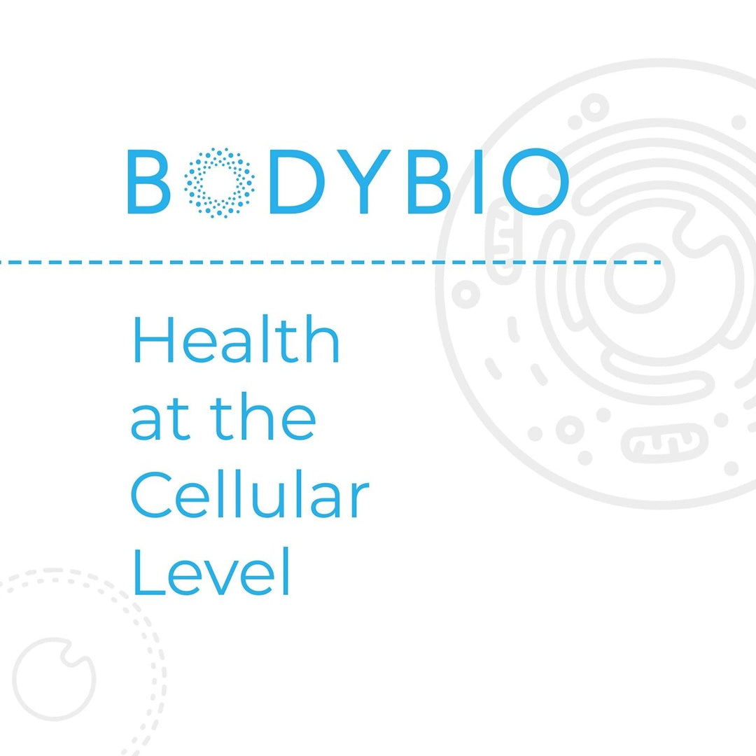 BodyBio - Vitamin B Complex Including B1, B2, B3, B5, B6, Methyl B12, Folinic Acid, 5 - MTHF, and B7 to Supports Alertness, Metabolism &amp; Immune System, 90 Capsules - The Oasis of Health