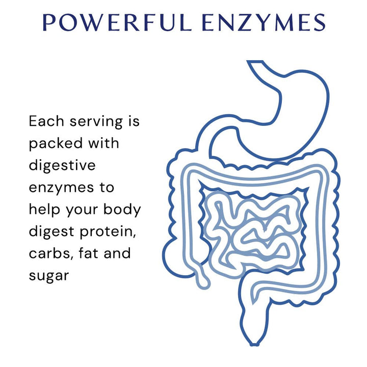 BodyHealth Digestive Enzymes Full Spectrum Digestive Support (180 caps), Betaine, Pepsin, Pancreatin BPP Loaded with Enzymes and Probiotics, Relief for Stomach Bloating, Heartburn, Gas, Constipation - The Oasis of Health