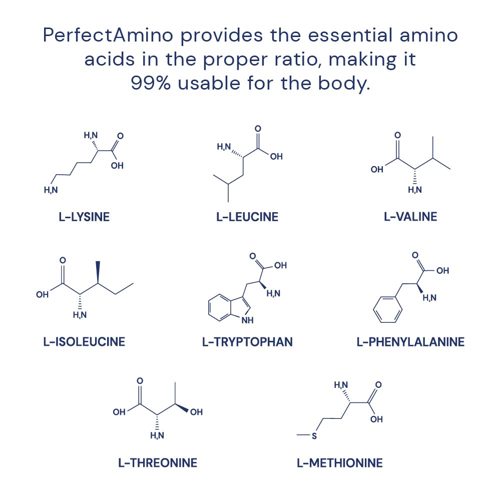 BodyHealth PerfectAmino (300 Tablets) Vegan Branched Chain Protein Pre/Post Workout - The Oasis of Health