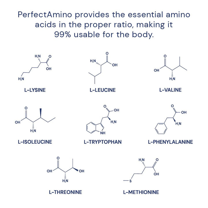 BodyHealth PerfectAmino (300 Tablets) Vegan Branched Chain Protein Pre/Post Workout - The Oasis of Health