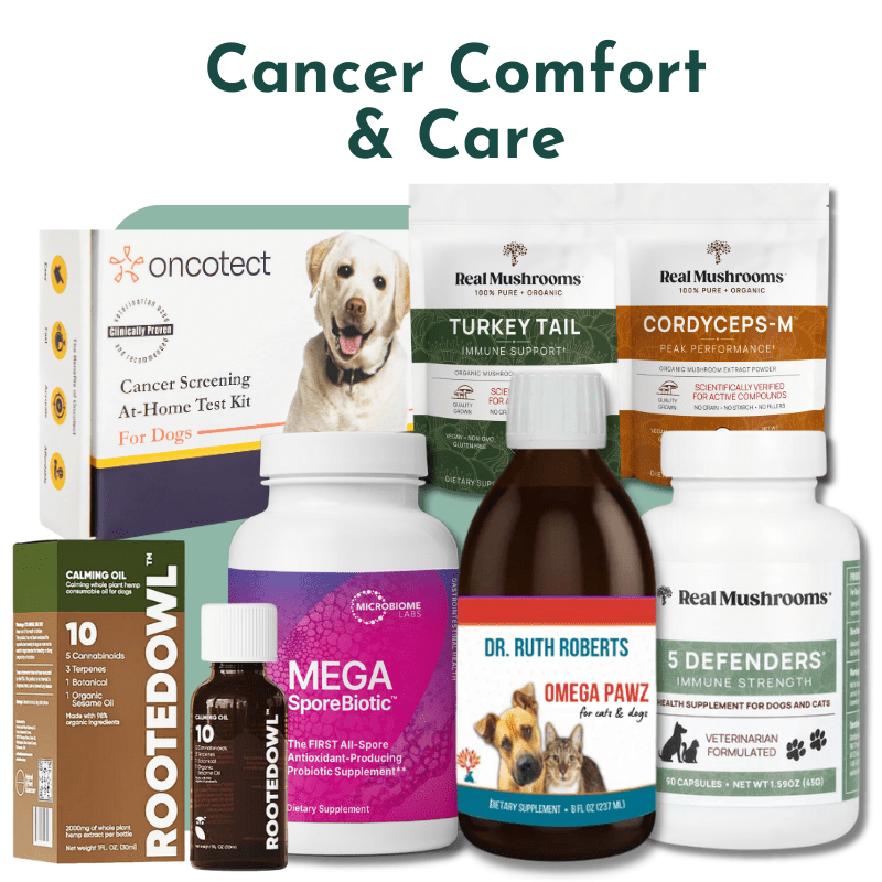 Cardiovascular Research EPA - 625 90 Softgels - 2 Pack - The Oasis of Health