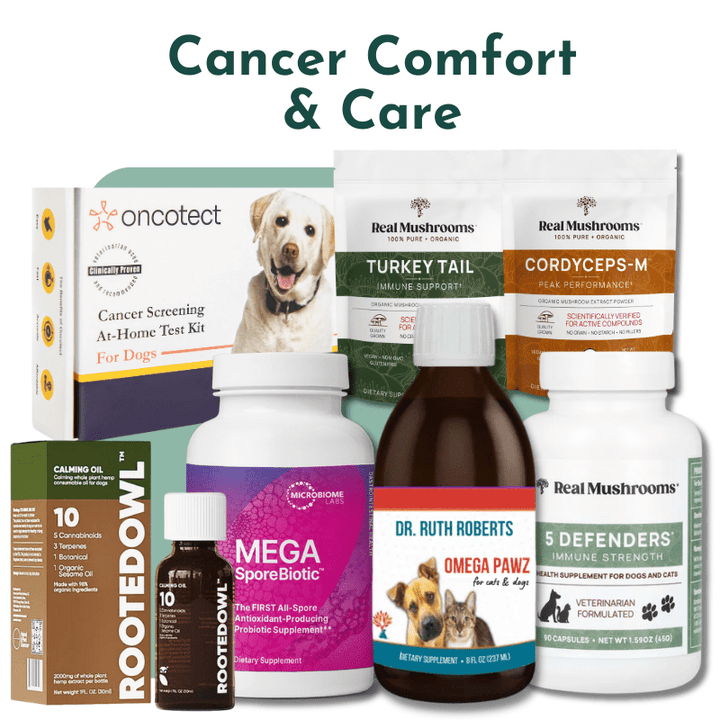 Cardiovascular Research EPA - 625 90 Softgels - 2 Pack - The Oasis of Health