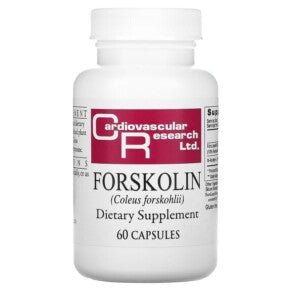 Cardiovascular Research Forskolin 60 Capsules - The Oasis of Health