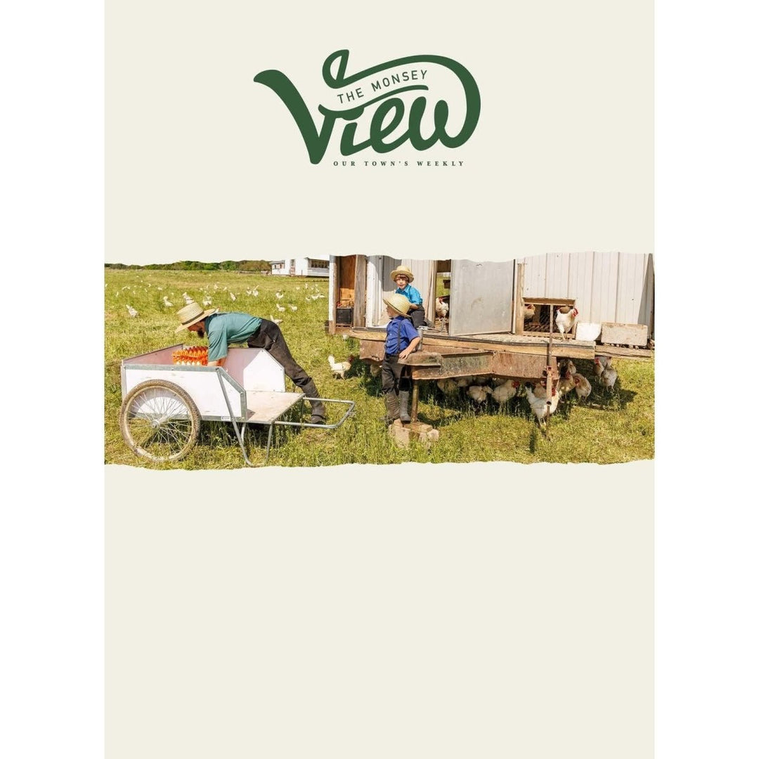 DaVinci Grapefruit Seed Extract, 400 mg, 60 Capsules - 3PC - The Oasis of Health