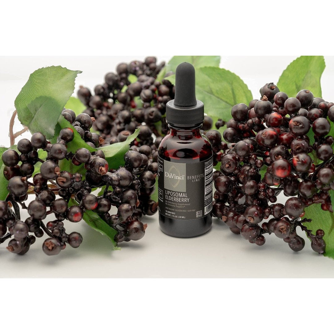 DAVINCI Labs Liposomal Elderberry - Immune Support Supplement for Healthy Lungs, Throat and Sinus* - with ElderCraft European Black Elderberry Extract - Gluten - Free - Vegetarian - 30 ml, 15 Servings - The Oasis of Health